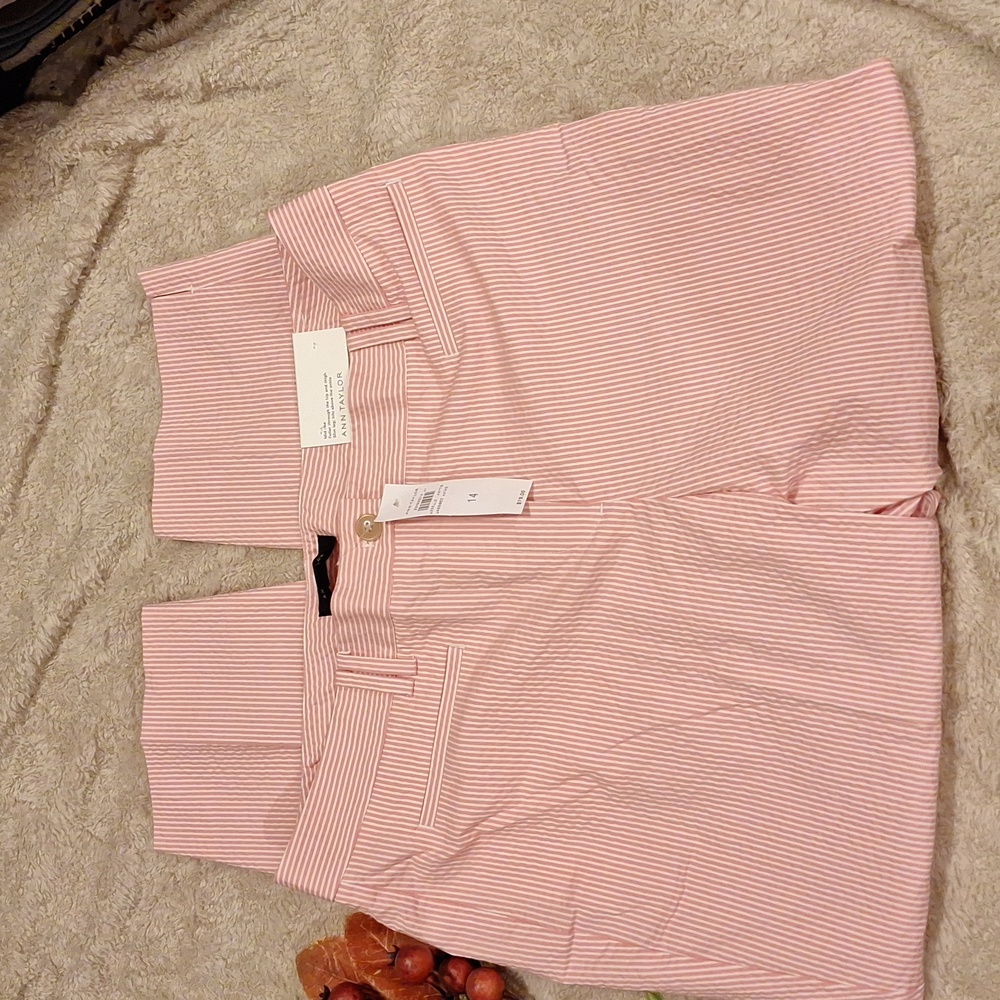 Ann Taylor Pink Striped Trousers